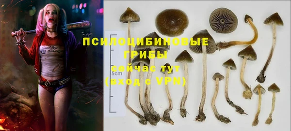 a pvp Богородицк