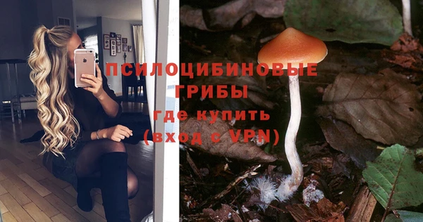 марки nbome Беломорск