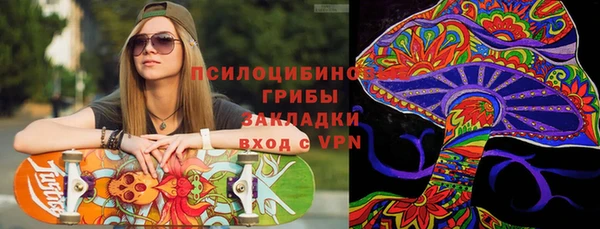 a pvp Богородицк