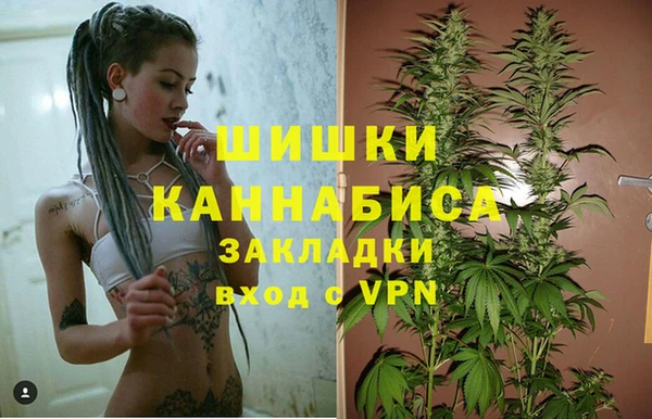 винт Белокуриха