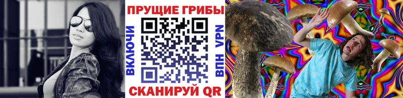 Галлюциногенные грибы прущие грибы  Мамадыш 