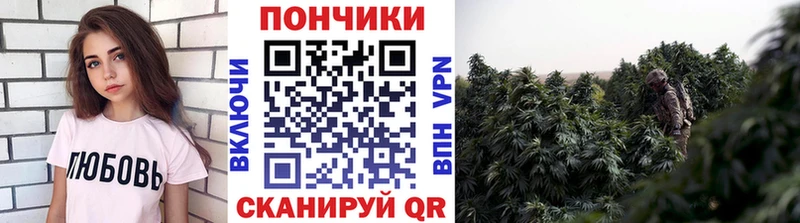 Каннабис ГИДРОПОН  Мамадыш 